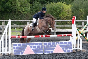 Class 7 - Fences 3' to 3'3